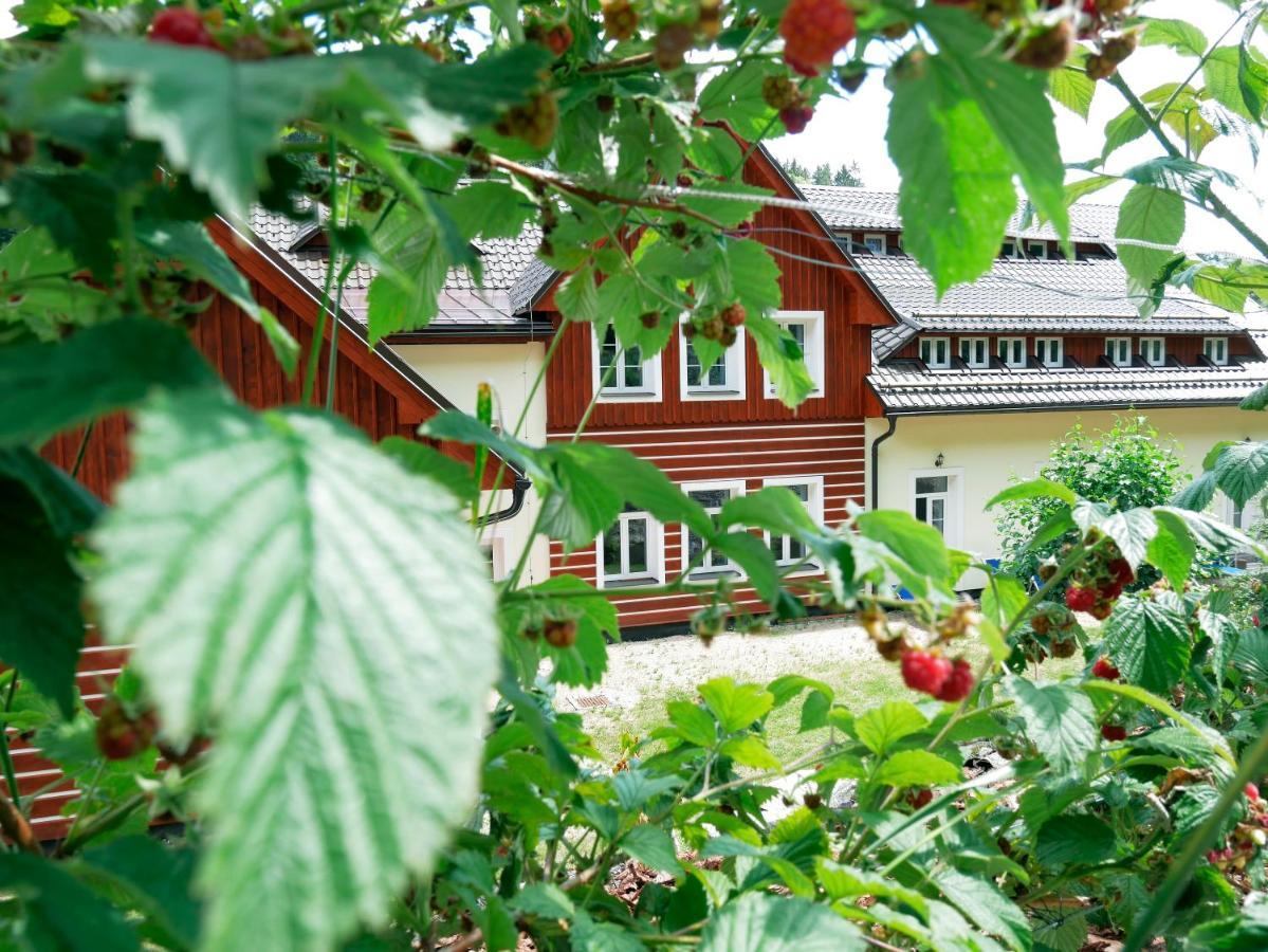 Apartmany Pod Marianskymi Schody Albrechtice v Jizerskych horach Kültér fotó